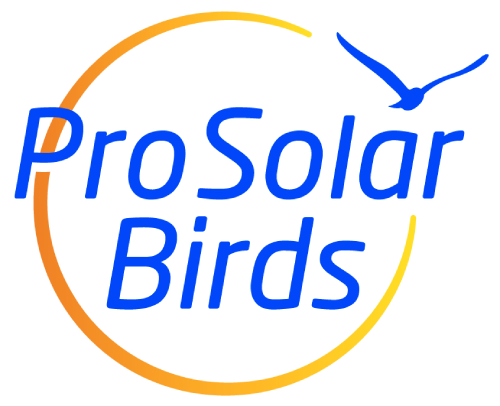 solar-birds